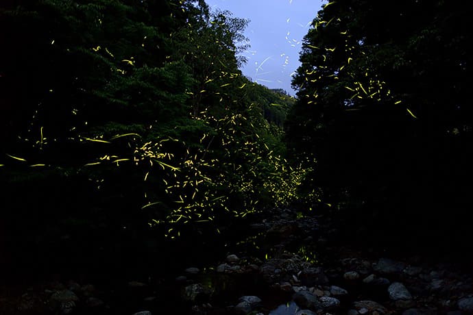 白山川（大分県）