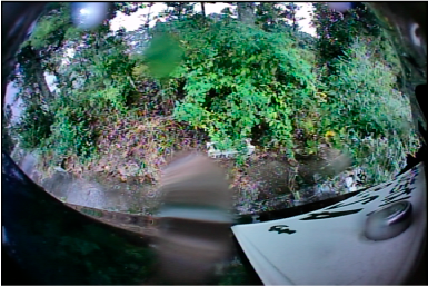 ���؂Ȃǂ̗��̕��ɂ��H�ʂ������Ȃ�