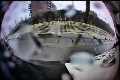 �J���������Y������Ă�����A�J�H���t�����Ă���