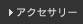 �A�N�Z�T���[