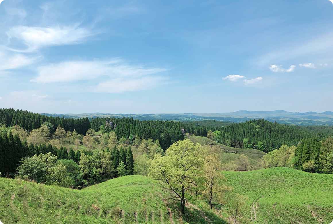 キャンプサイトから見渡せる絶景