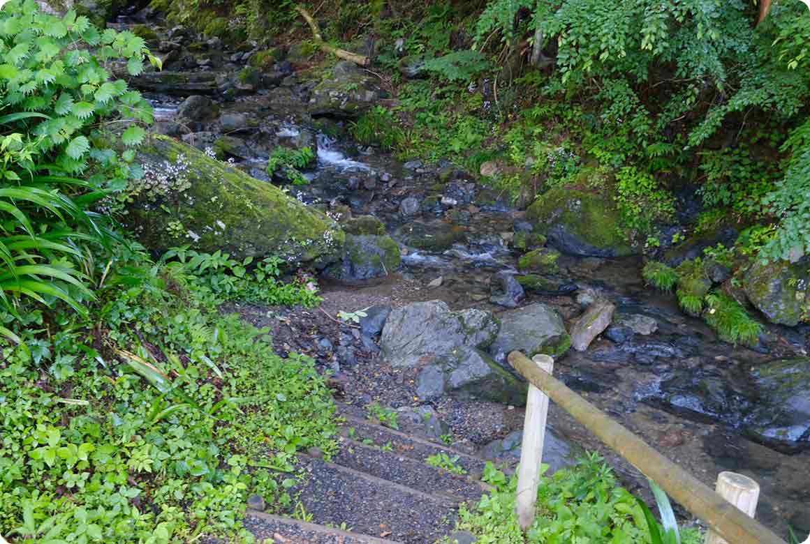 キャンプ場の下には小川が流れ、川遊びができます。夏はひんやり気持ちいい！