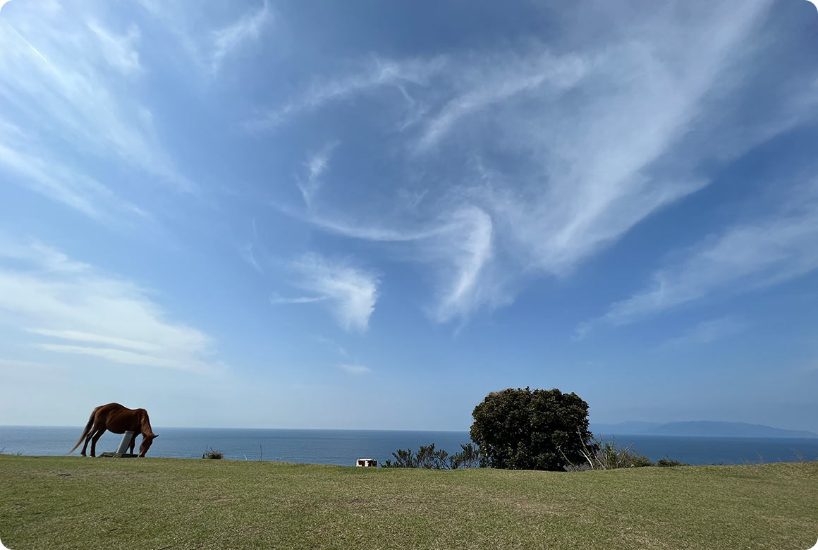 広すぎる空と水平線が目の前に！