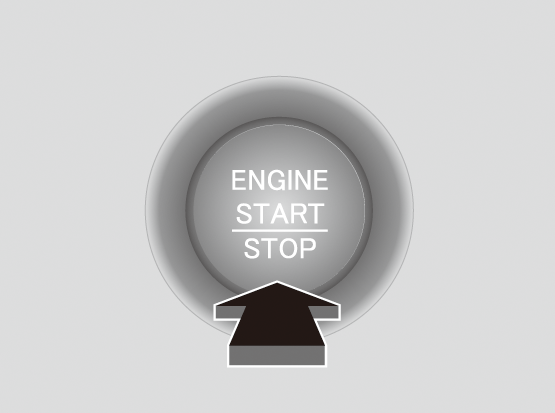 ../img/3T005018.png