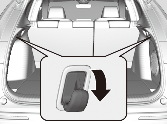 ../img/3V503076.png