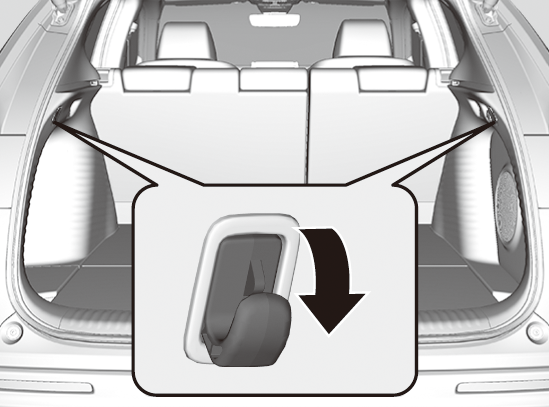 ../img/3V503076.png