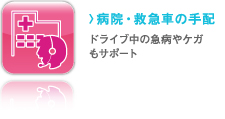 �a�@�E�~�}�Ԃ̎�z