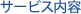 �T�[�r�X���e
