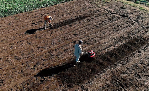 家庭菜園の耕うん機選び