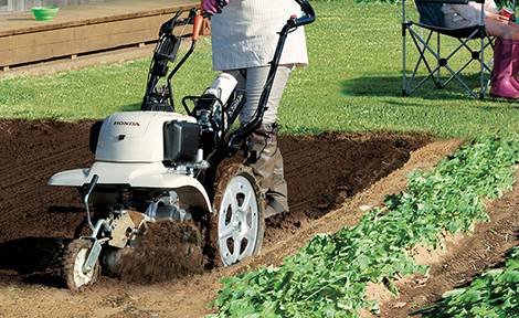 サ・ラ・ダCG FFV300