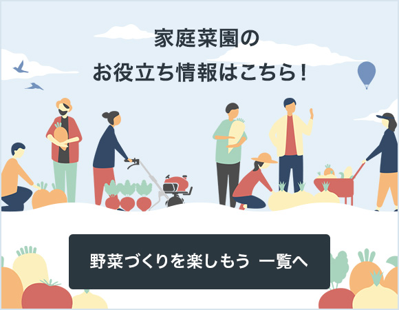 野菜づくりを楽しもう 一覧へ
