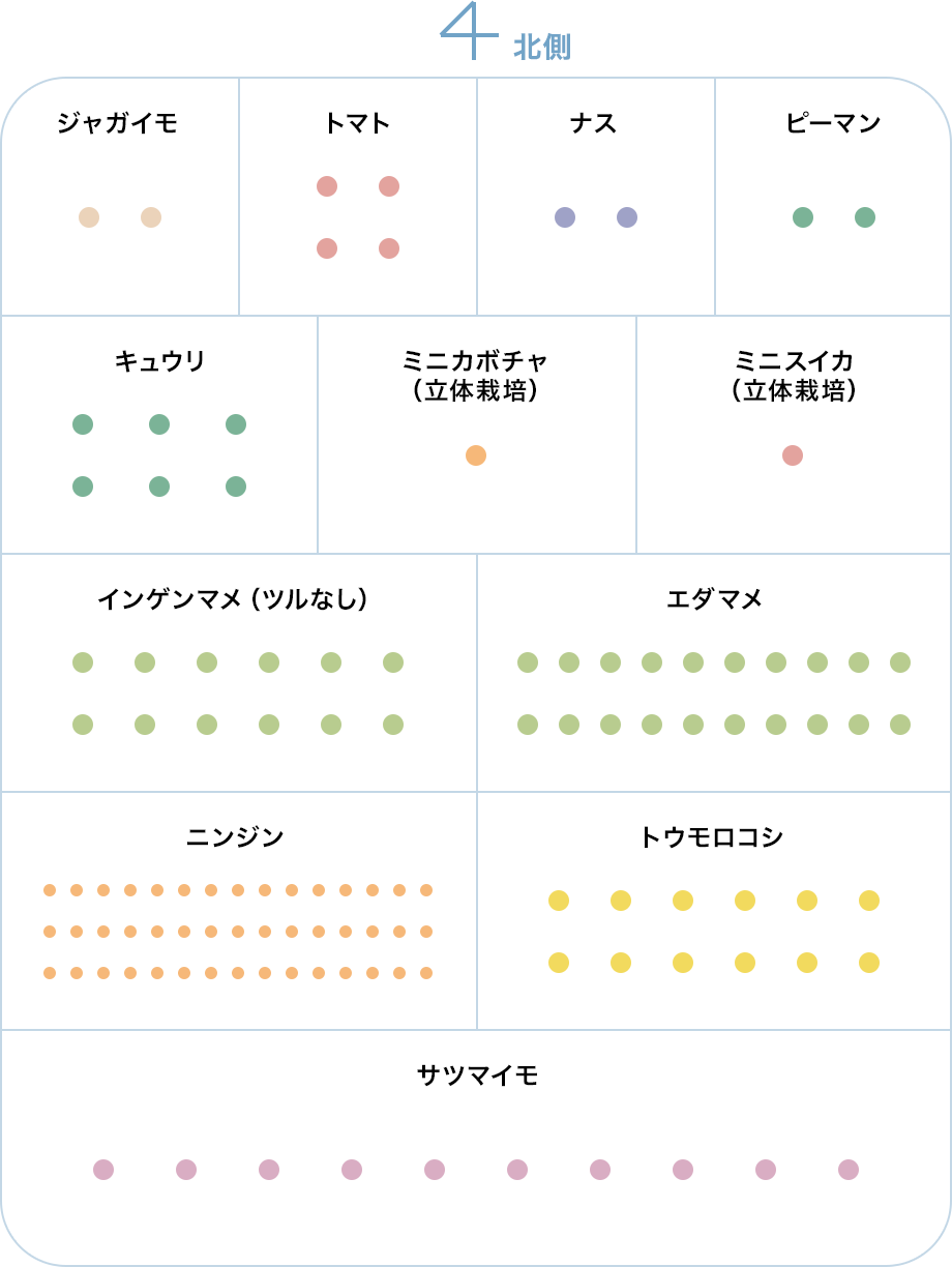 春夏の作付けプラン