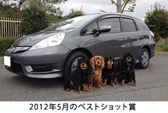 2009�N12���̃x�X�g�V���b�g��