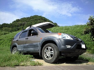 �g�߂Ȗ`����