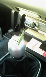 ���q����