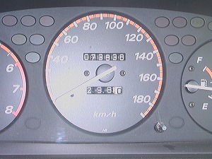 �ːF�����̉ԉ�