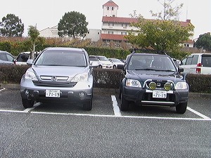 �ːF�����̉ԉ�