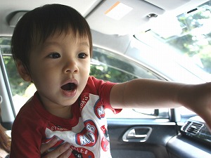 �G�f�B�~�T�t�@���p�[�N