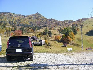 �g�t�^������I