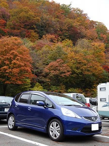 �R��Ŗ����I2