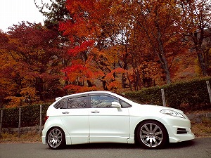 �G�f�B�b�N�X