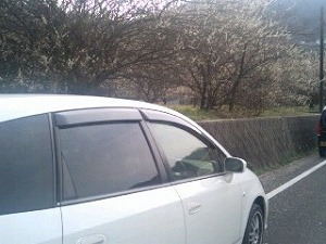 �X�g���[��