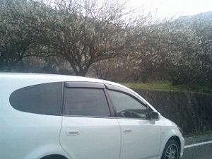 �X�g���[��