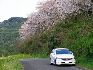 �X�g���[��