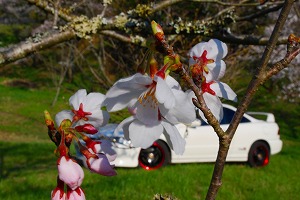 �C���e�O��TYPE R