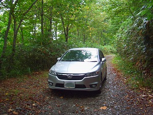 �X�g���[��