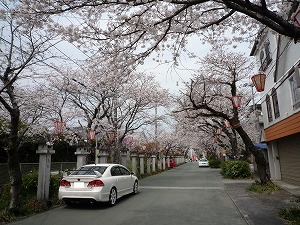 �V�r�b�NTYPE R