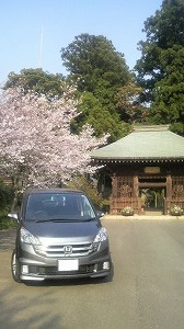 �X�e�b�v���S��