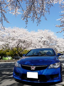 �V�r�b�NTYPE R