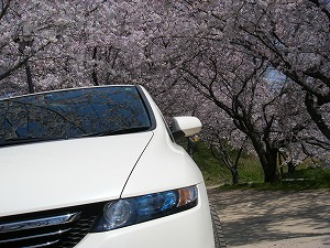 �I�f�b�Z�C