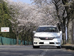 �X�g���[��