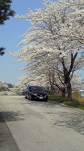 �I�f�b�Z�C