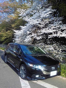 �I�f�b�Z�C