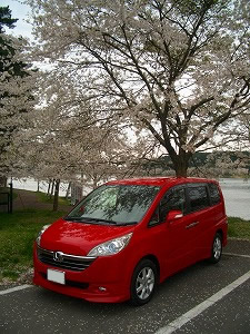 �X�e�b�v���S��