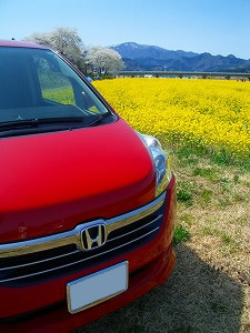 �X�e�b�v���S��