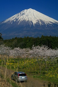 �X�g���[��