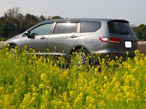 �I�f�b�Z�C