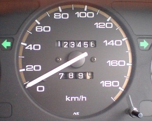 �X�e�b�v���S��