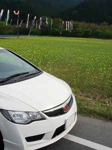 �V�r�b�NTYPE R