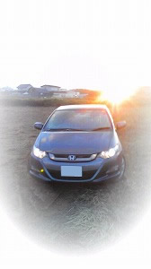 �C���T�C�g