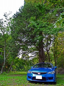 �V�r�b�NTYPE R