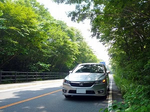 �X�g���[��