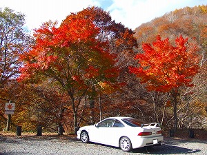 �C���e�O��TYPE R