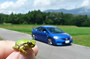 �V�r�b�NTYPE R