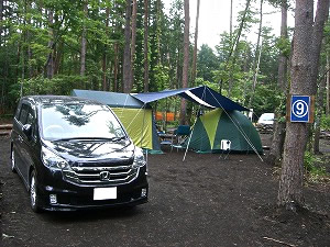 �X�e�b�v���S��