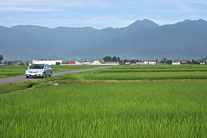 �V�r�b�N�n�C�u���b�h